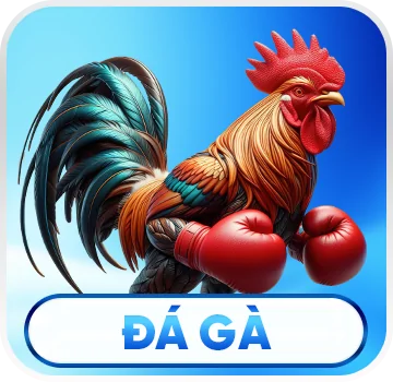 Đá gà 78win